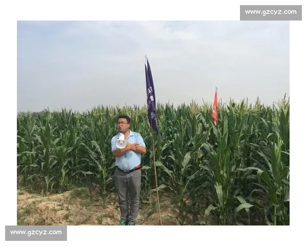 经典重现！老将能否再创辉煌，赛程表预告！